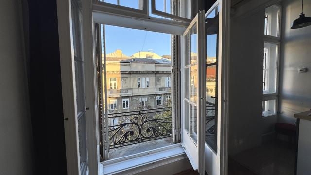 Stan, Garsonjera, Izdavanje, 24m2, Birčaninova