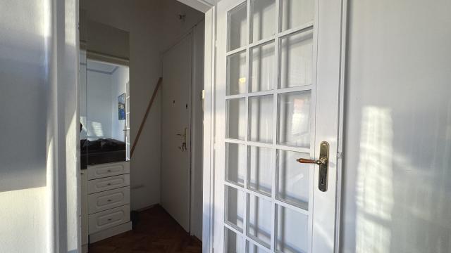 Stan, Garsonjera, Izdavanje, 24m2, Birčaninova