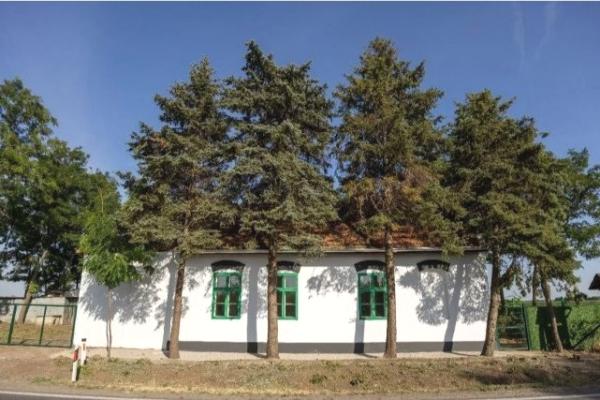 prodaja, kuca,
srbobran, 981805, cetvorosoban-srbobran