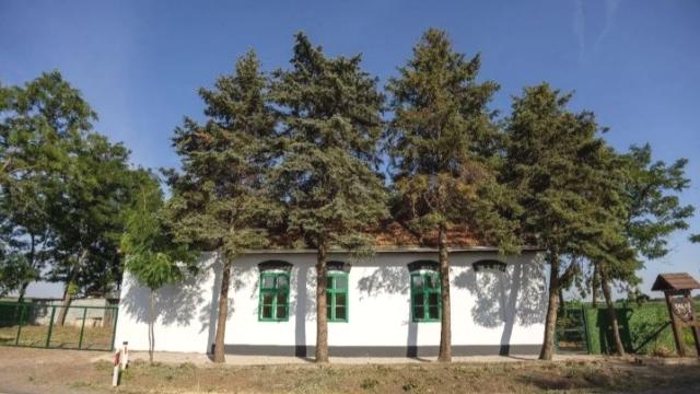 Kuća, četvorosoban, Prodaja, 500m2, Srbobran