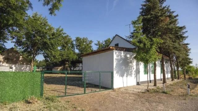 Kuća, četvorosoban, Prodaja, 500m2, Srbobran