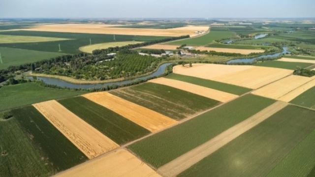 Kuća, četvorosoban, Prodaja, 500m2, Srbobran