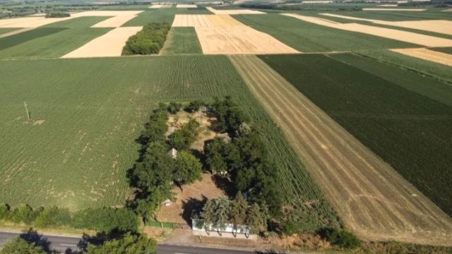 Kuća, četvorosoban, Prodaja, 500m2, Srbobran