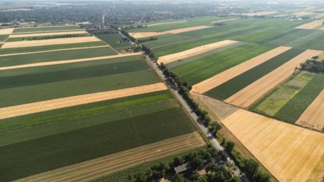 Kuća, četvorosoban, Prodaja, 500m2, Srbobran