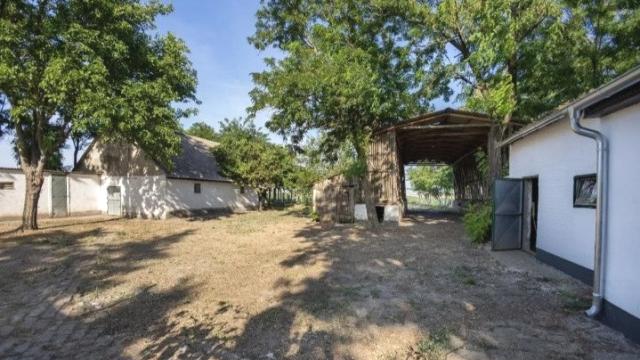 Kuća, četvorosoban, Prodaja, 500m2, Srbobran