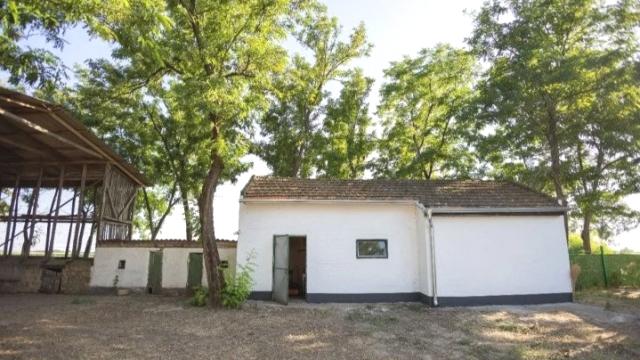 Kuća, četvorosoban, Prodaja, 500m2, Srbobran