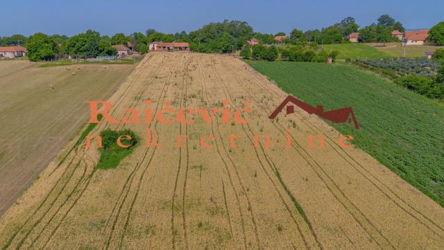 Plac, Prodaja, 16400m2, Mladenovac selo, Mladenovac, Mihaila Badzaka