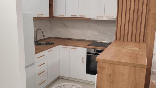 Stan, Dvosoban, Izdavanje, 56m2, Banjica, Voždovac, Save Maškovića