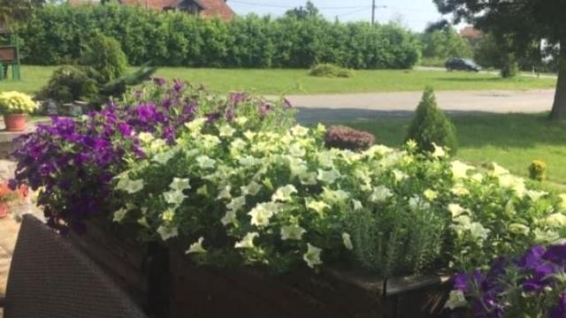 Plac, Prodaja, m2, Murgaš, Okolno mesto, Valjevski put