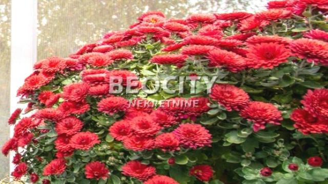 Stan, Dvosoban, Prodaja, 49m2, Cerak vinogradi, Čukarica, Cerski venac