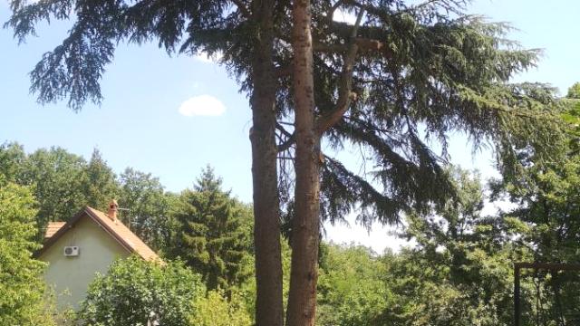 Kuća, Petosoban, Prodaja, 106m2, Vrčin, Grocka, Braće Ribak