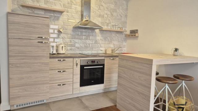 Stan, Dvosoban, Izdavanje, 45m2, Hram svetog Save, Vračar, Dubljanska