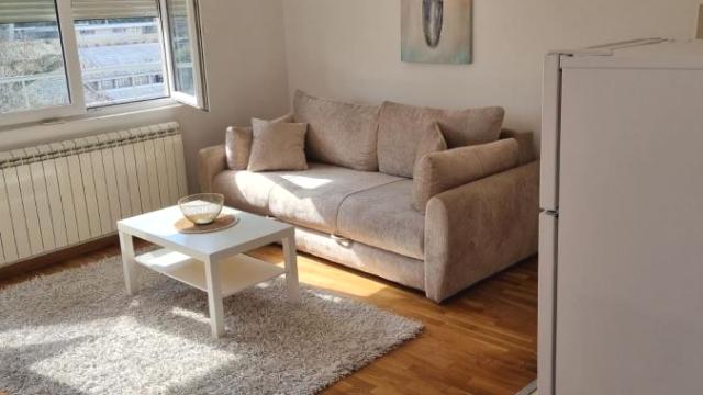 Stan, Dvosoban, Izdavanje, 54m2, Tašmajdan, Palilula, Ilije Garašanina