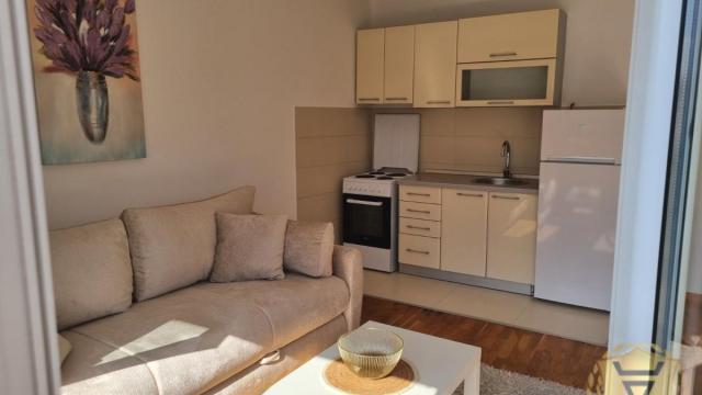 Stan, Dvosoban, Izdavanje, 54m2, Tašmajdan, Palilula, Ilije Garašanina