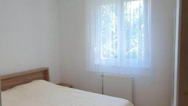 Stan, Dvosoban, Izdavanje, 47m2, Petrovaradin, Novi Sad