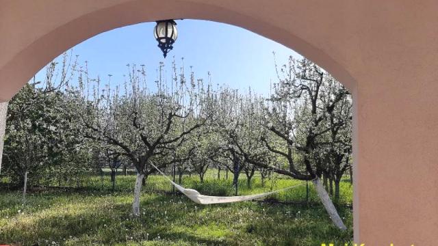 Kuća, Prodaja, 115m2, Fruška Gora, Okolno mesto, Sremski Karlovci