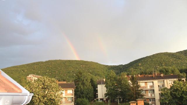 Stan, Jednosoban, Prodaja, 35m2, Branislava Nusica 7