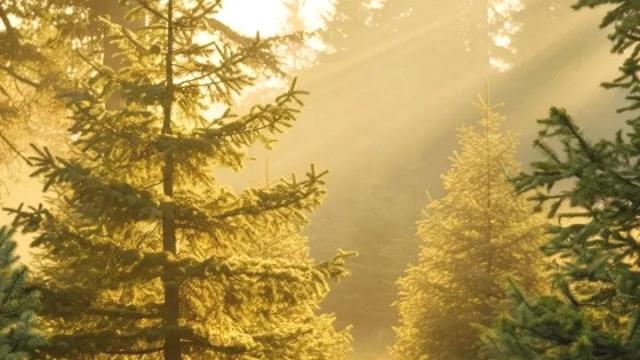 Plac, Prodaja, m2, Zaovine