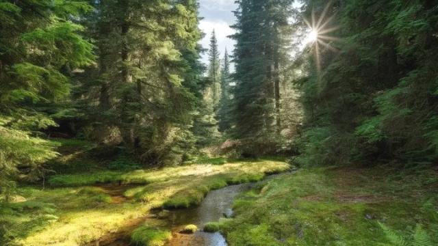 Plac, Prodaja, m2, Zaovine