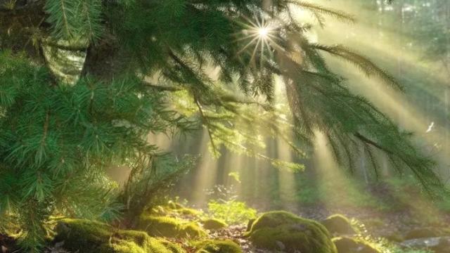 Plac, Prodaja, m2, Zaovine