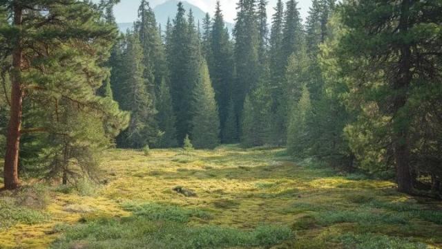 Plac, Prodaja, m2, Zaovine