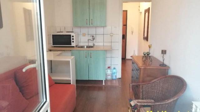 Stan, Garsonjera, Izdavanje, 20m2, Blok 63, Novi Beograd, Gandijeva