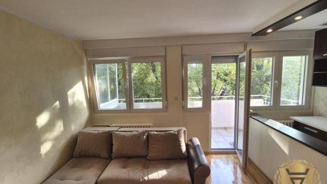 Stan, Dvosoban, Izdavanje, 45m2, Stari Merkator, Novi Beograd, Aleksinačkih rudara