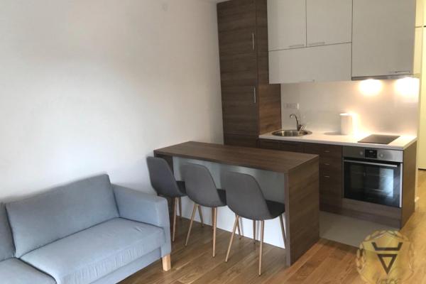 izdavanje, stanova,
juzni-bulevar-vracar-beograd, 987526, dvosoban-juzni-bulevar