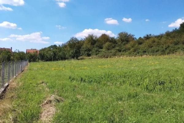 prodaja, plac,
baric-obrenovac-beograd, 987846, baric