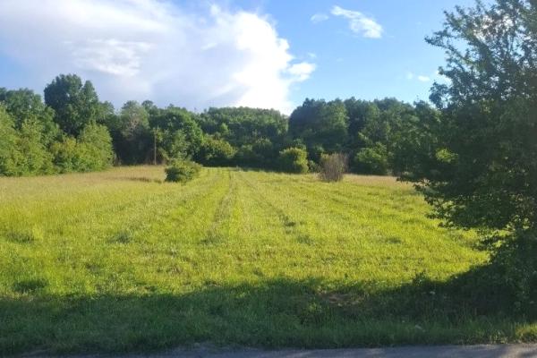 prodaja, plac,
modrica-opstina-krusevac, 987901, modrica