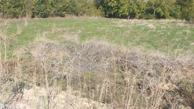 Plac, Prodaja, m2, Irig