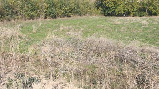 Plac, Prodaja, m2, Irig