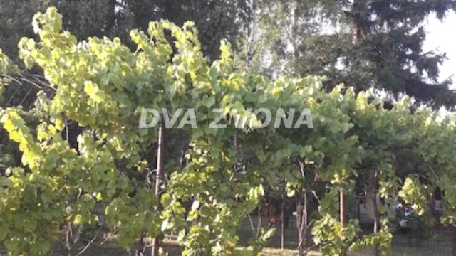 Kuća, Dvosoban, Prodaja, 38m2, Krušedol, Okolno mesto, Irig