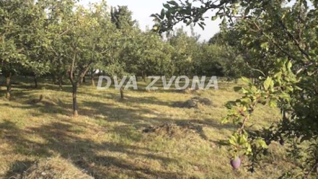 Kuća, Dvosoban, Prodaja, 38m2, Krušedol, Okolno mesto, Irig