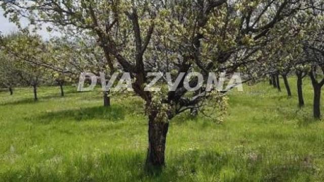 Kuća, Dvosoban, Prodaja, 38m2, Krušedol, Okolno mesto, Irig