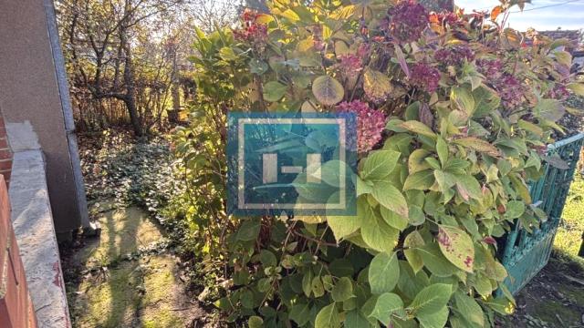 Kuća, Prodaja, 46m2, Jagodina