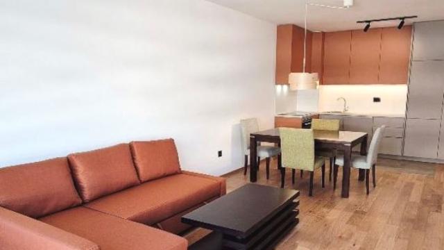 Stan, Dvosoban, Izdavanje, 59m2, Centar, Palilula, Dragoslava Srejovića