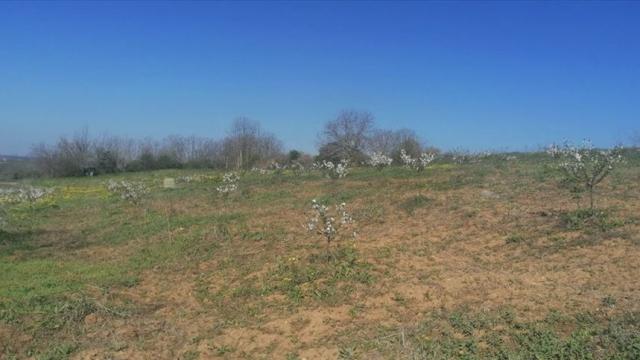 Plac, Prodaja, m2, Umčari, Grocka, Marsala Tita