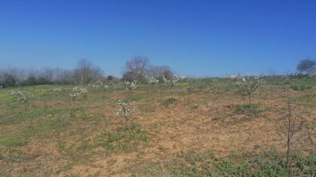 Plac, Prodaja, m2, Umčari, Grocka, Marsala Tita