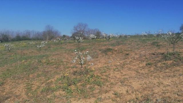 Plac, Prodaja, m2, Umčari, Grocka, Marsala Tita