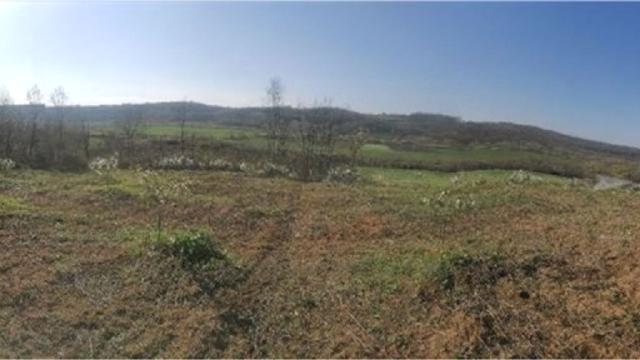 Plac, Prodaja, m2, Umčari, Grocka, Marsala Tita