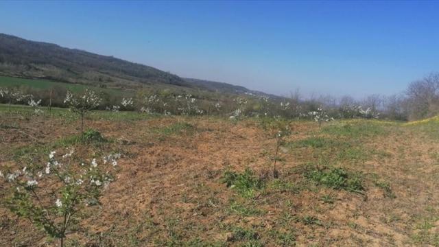 Plac, Prodaja, m2, Umčari, Grocka, Marsala Tita