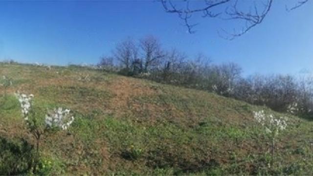 Plac, Prodaja, m2, Umčari, Grocka, Marsala Tita