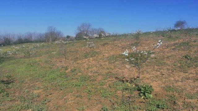 Plac, Prodaja, m2, Umčari, Grocka, Marsala Tita