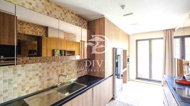 Stan, četvorosoban, Izdavanje, 234m2, Serdar Jola