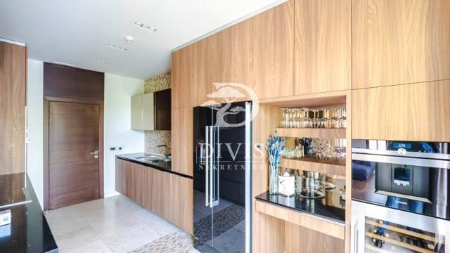 Stan, četvorosoban, Izdavanje, 234m2, Serdar Jola