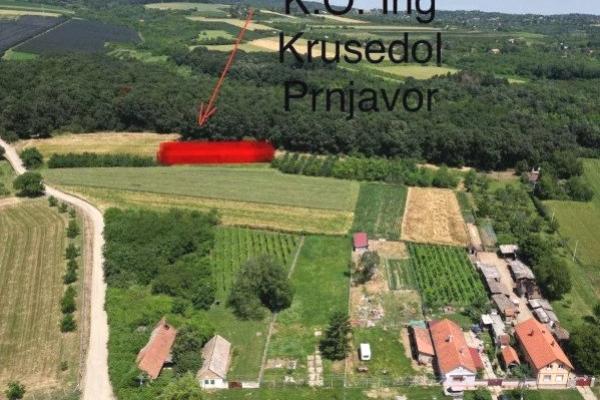 prodaja, plac,
irig, 990418, krusedol