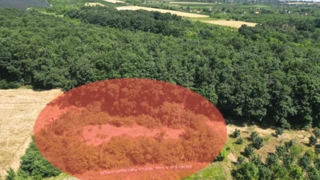 Plac, Prodaja, m2, Krušedol