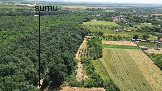 Plac, Prodaja, m2, Krušedol