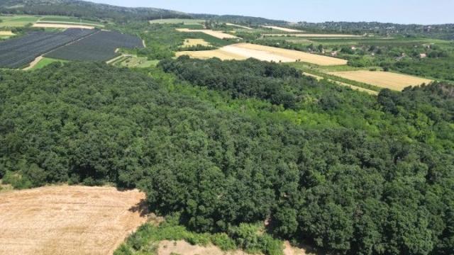 Plac, Prodaja, m2, Krušedol